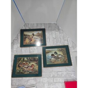 Pimpernel Ducks Cork Board Placemats Set 3 Vintage Waterfowl‎ Green Gold England